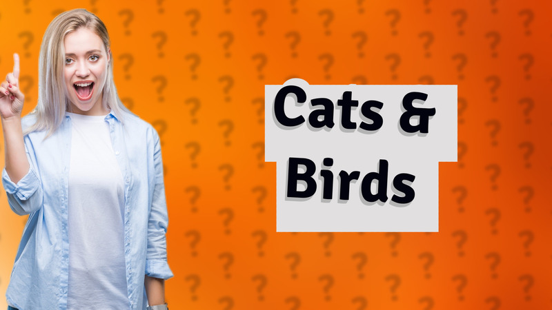 Cats & Birds