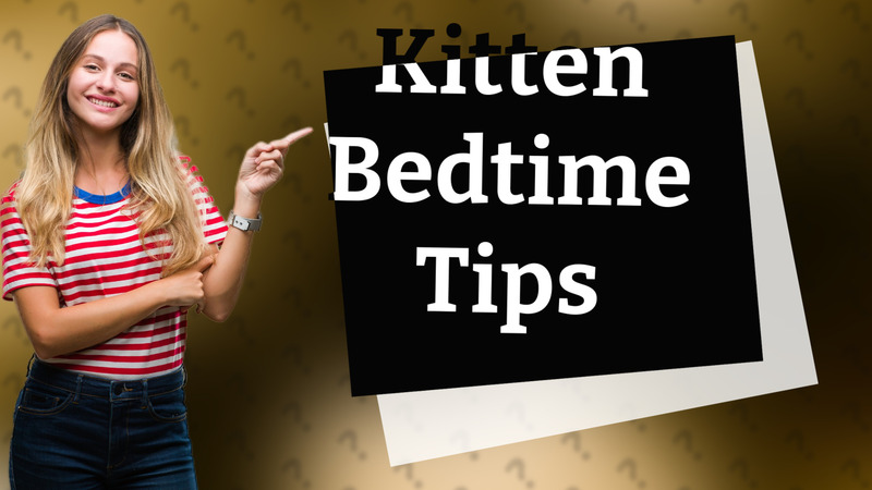 Kitten Bedtime Tips
