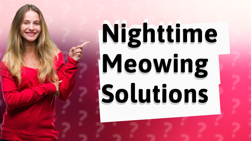 Nighttime Meowing Solutions