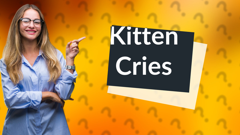 Kitten Cries