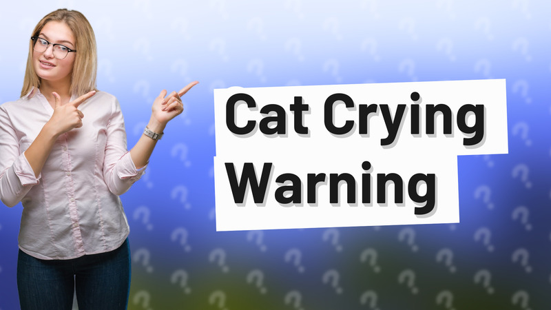 Cat Crying Warning