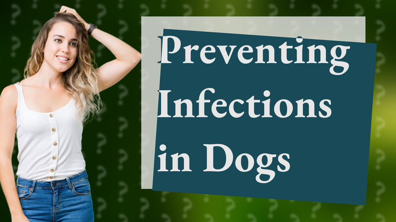 Preventing Infections in Dogs
