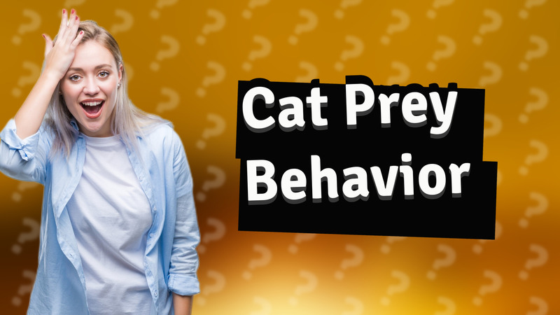 Cat Prey Behavior
