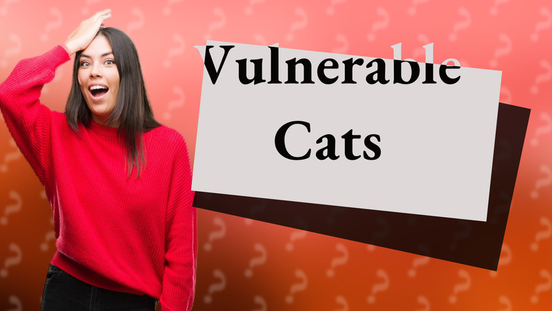 Vulnerable Cats