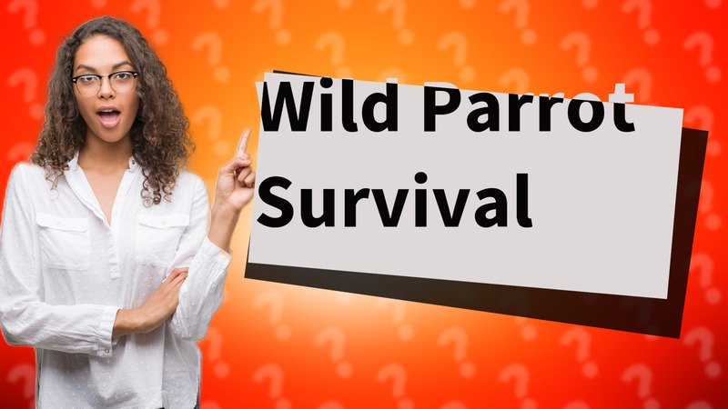 Wild Parrot Survival