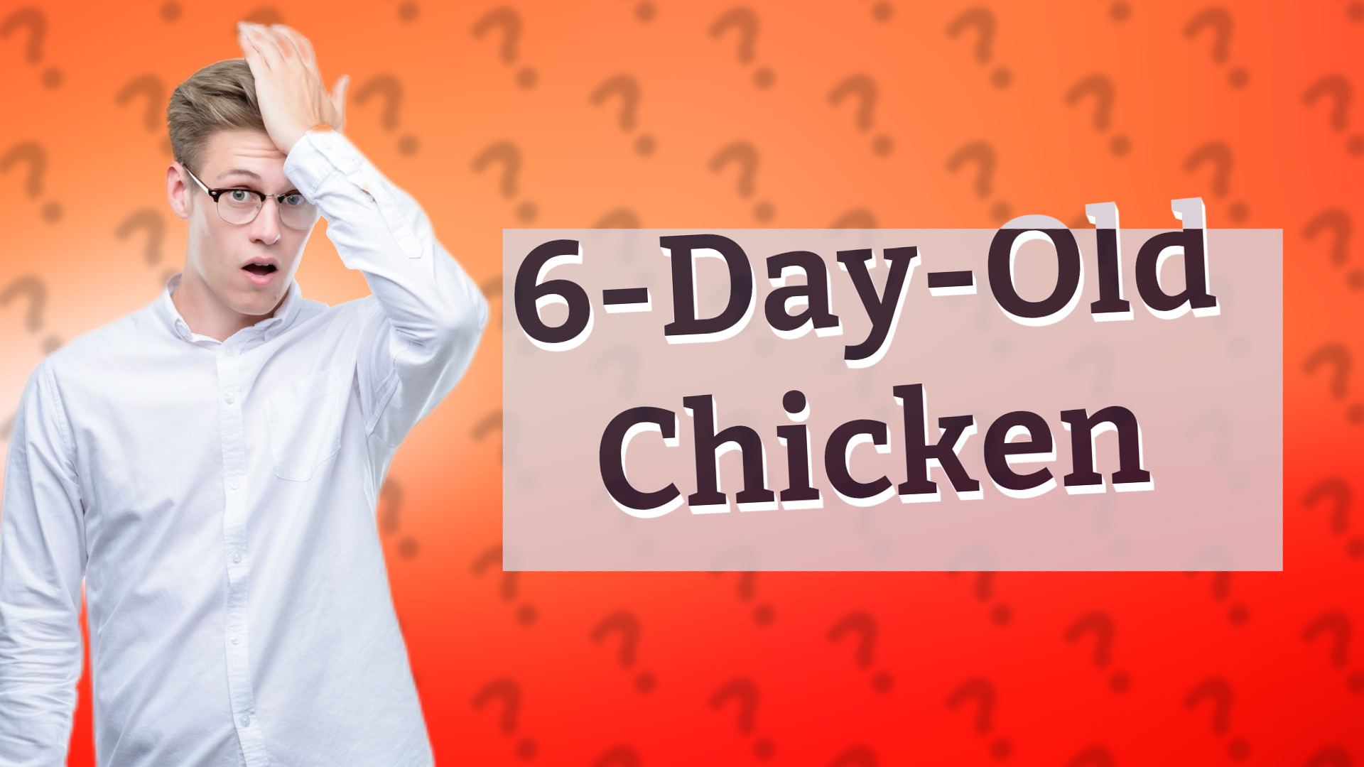 6-Day-Old Chicken
