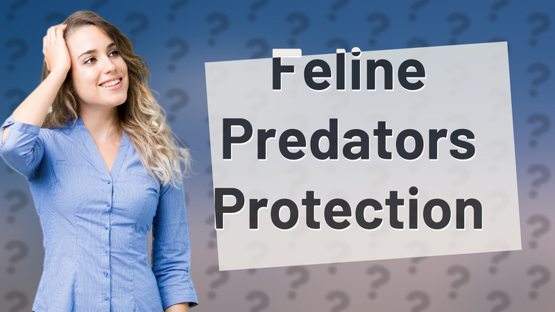 Feline Predators Protection