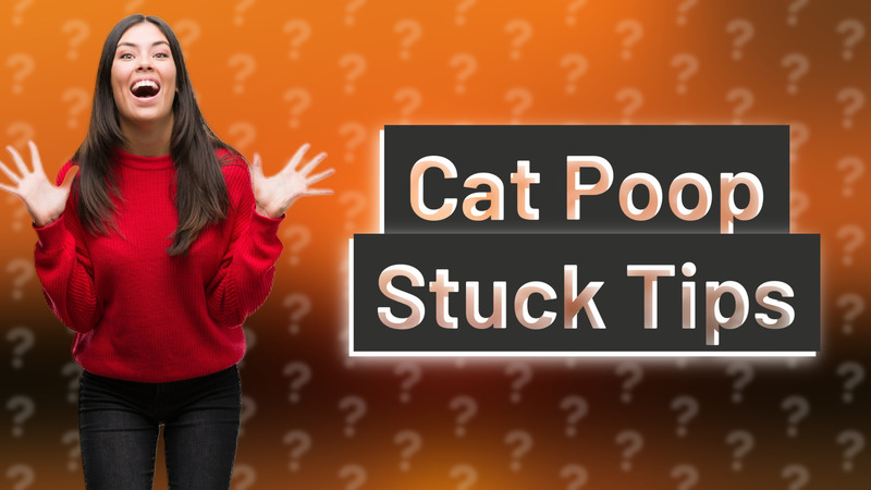 Cat Poop Stuck Tips