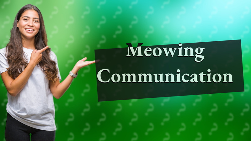 Meowing Communication