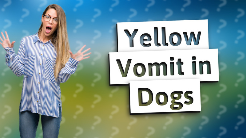 Yellow Vomit in Dogs