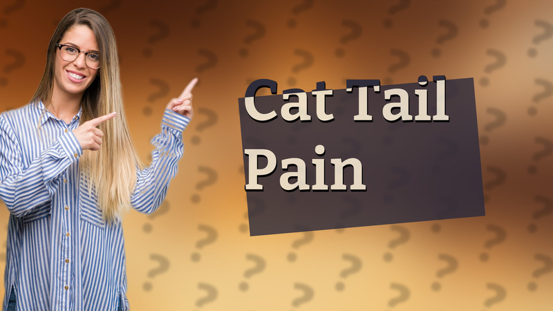 Cat Tail Pain