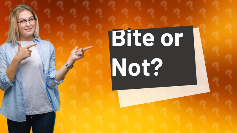 Bite or Not?