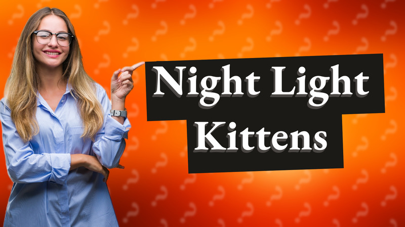 Night Light Kittens