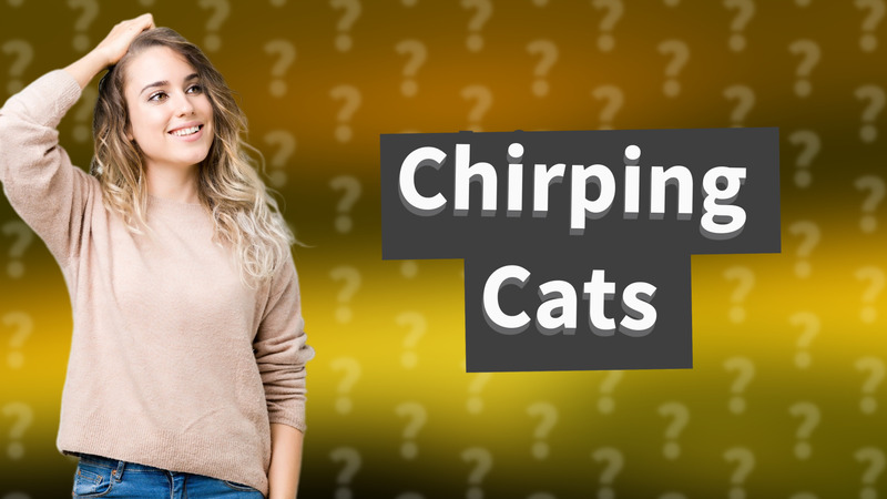 Chirping Cats