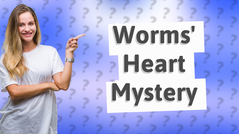 Worms' Heart Mystery