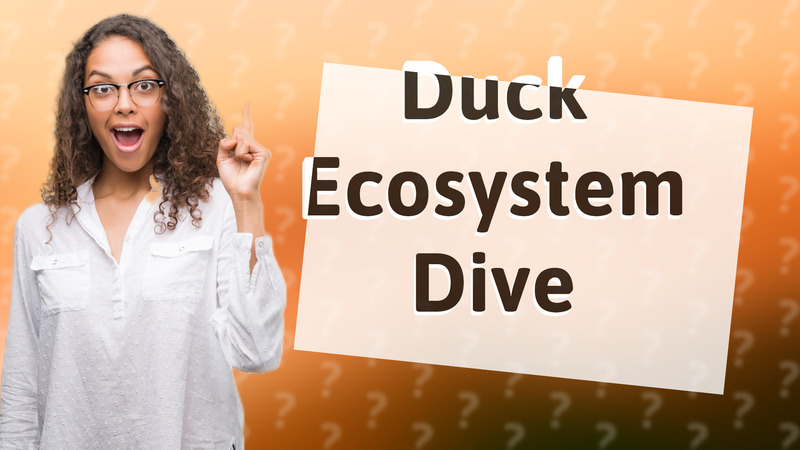 Duck Ecosystem Dive