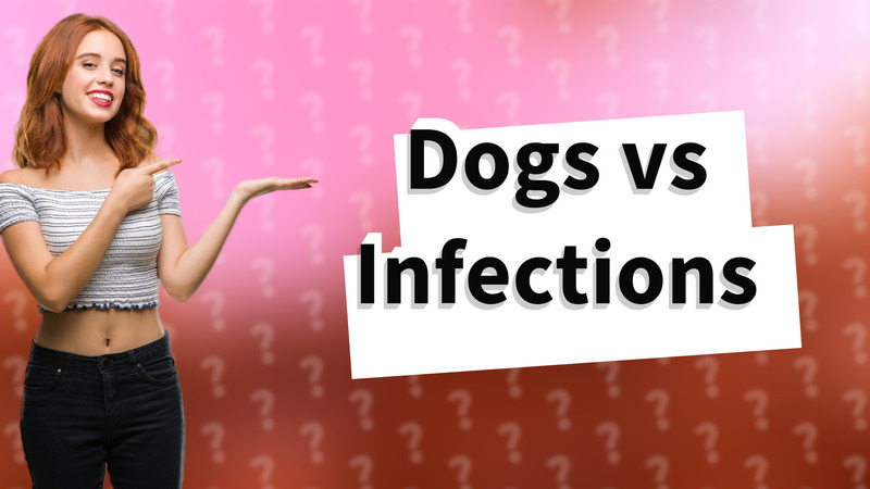 Dogs vs Infections