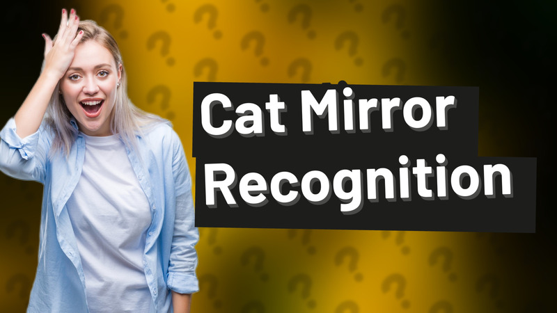 Cat Mirror Recognition