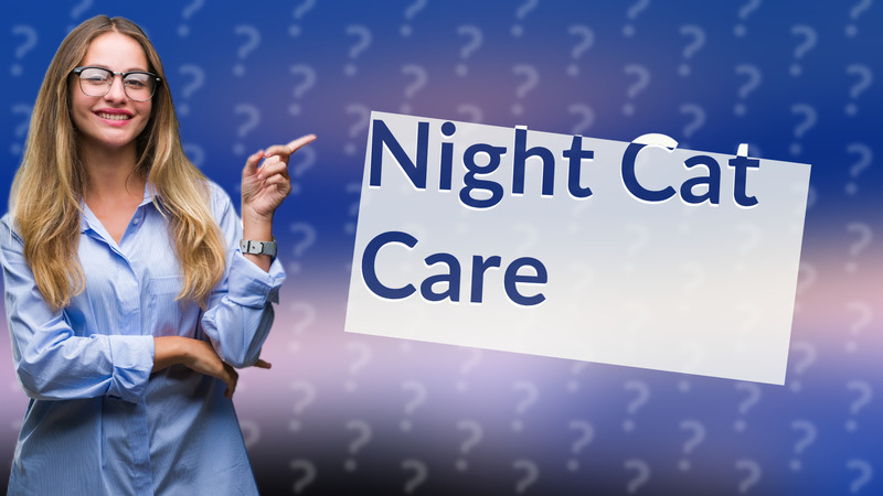 Night Cat Care