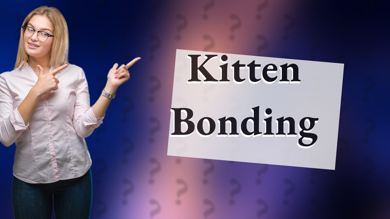 Kitten Bonding