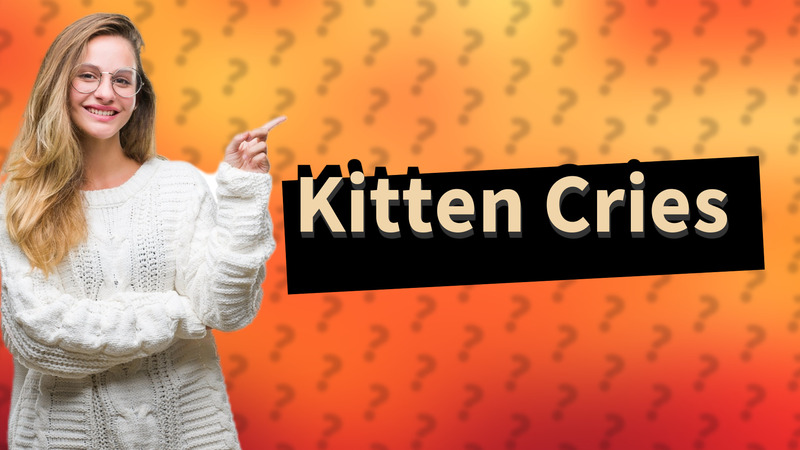 Kitten Cries