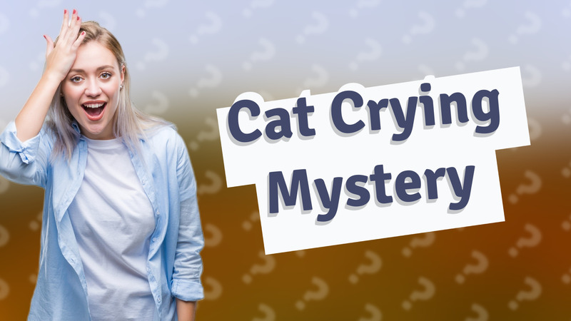 Cat Crying Mystery