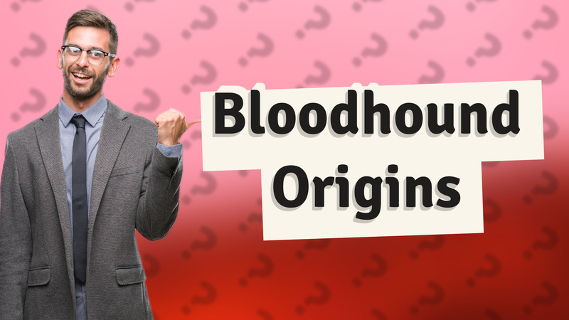 Bloodhound Origins