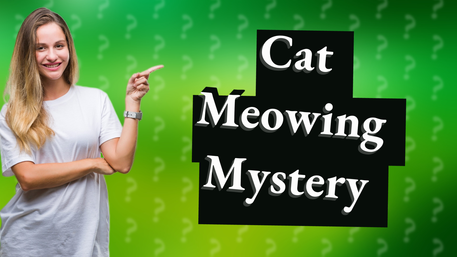 Cat Meowing Mystery