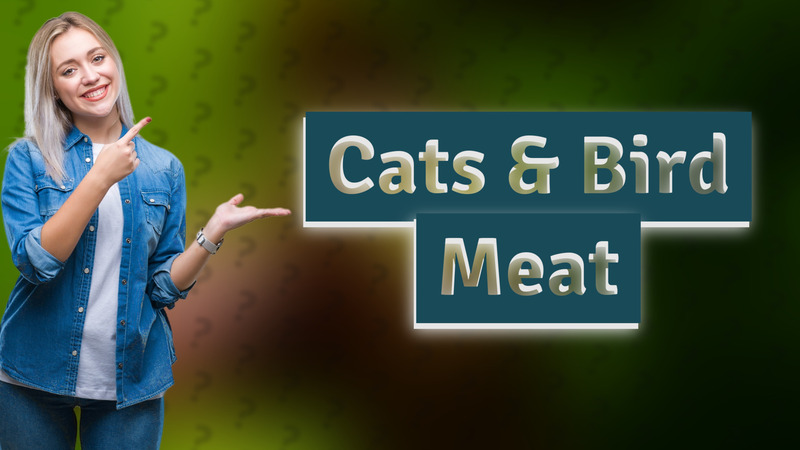 Cats & Bird Meat
