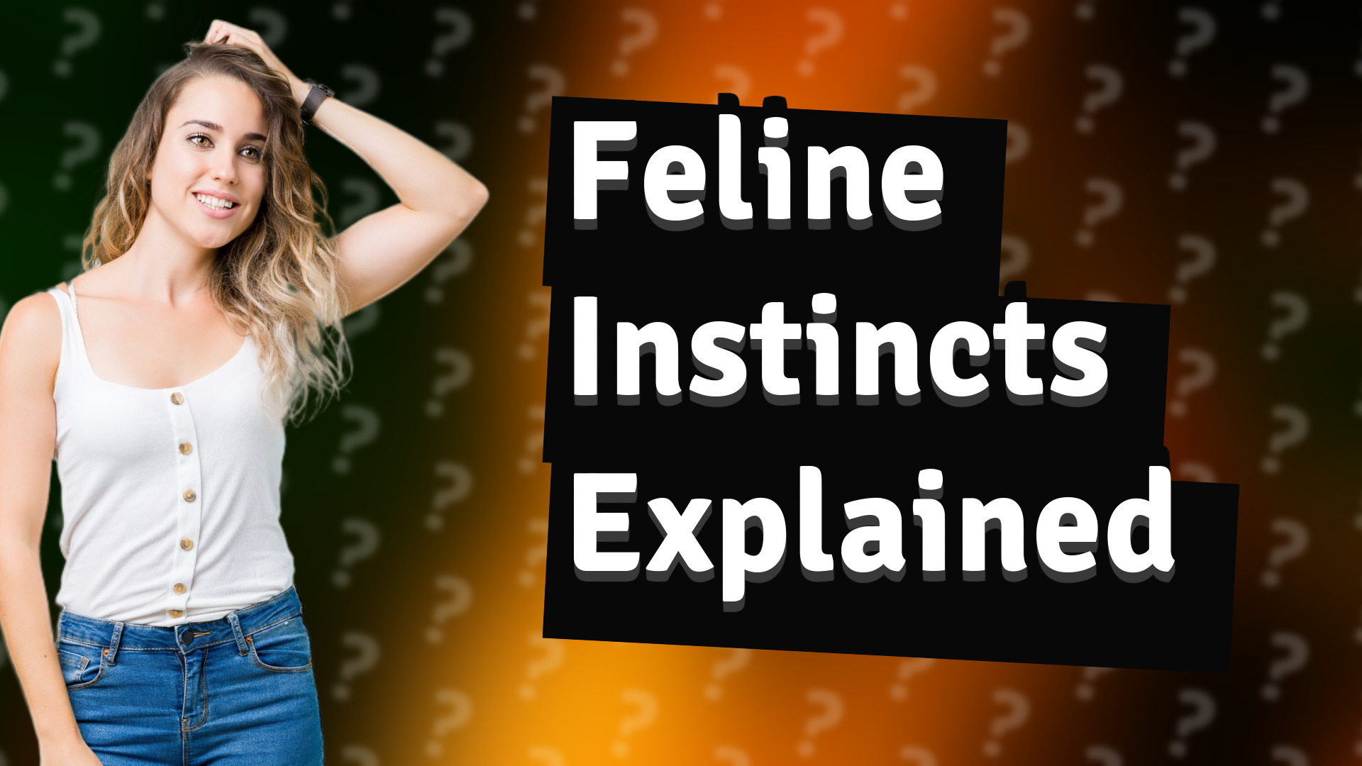 Feline Instincts Explained