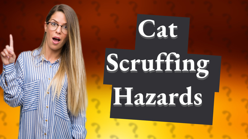 Cat Scruffing Hazards
