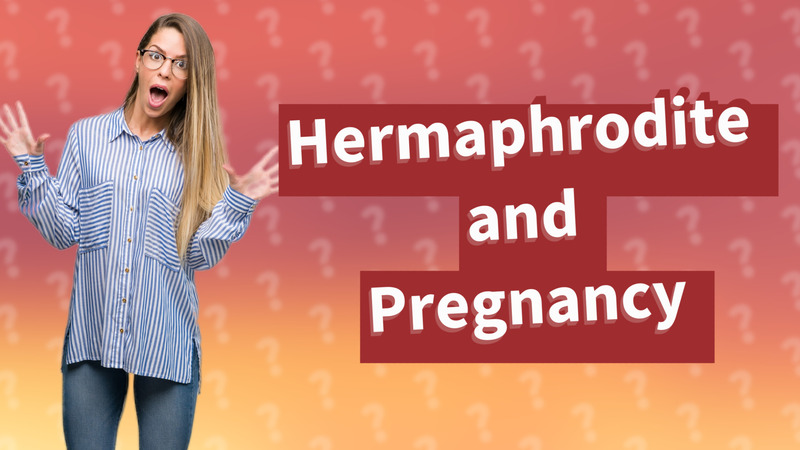 Hermaphrodite and Pregnancy