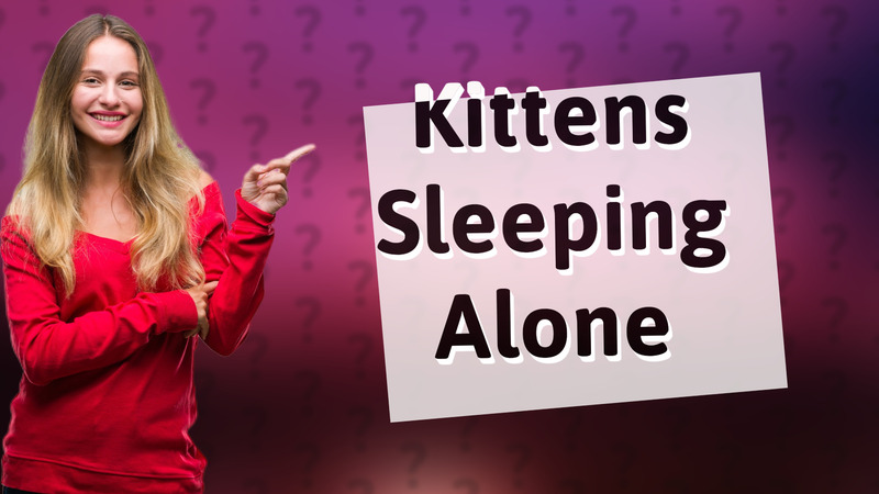 Kittens Sleeping Alone