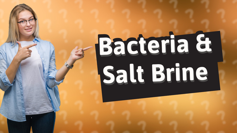 Bacteria & Salt Brine