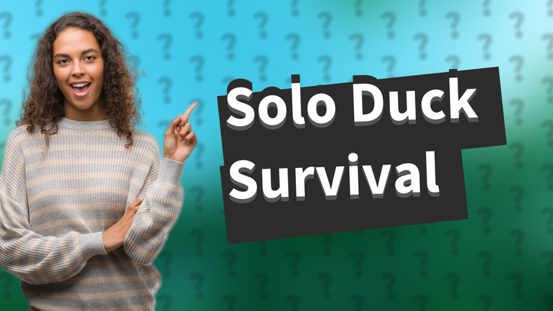 Solo Duck Survival