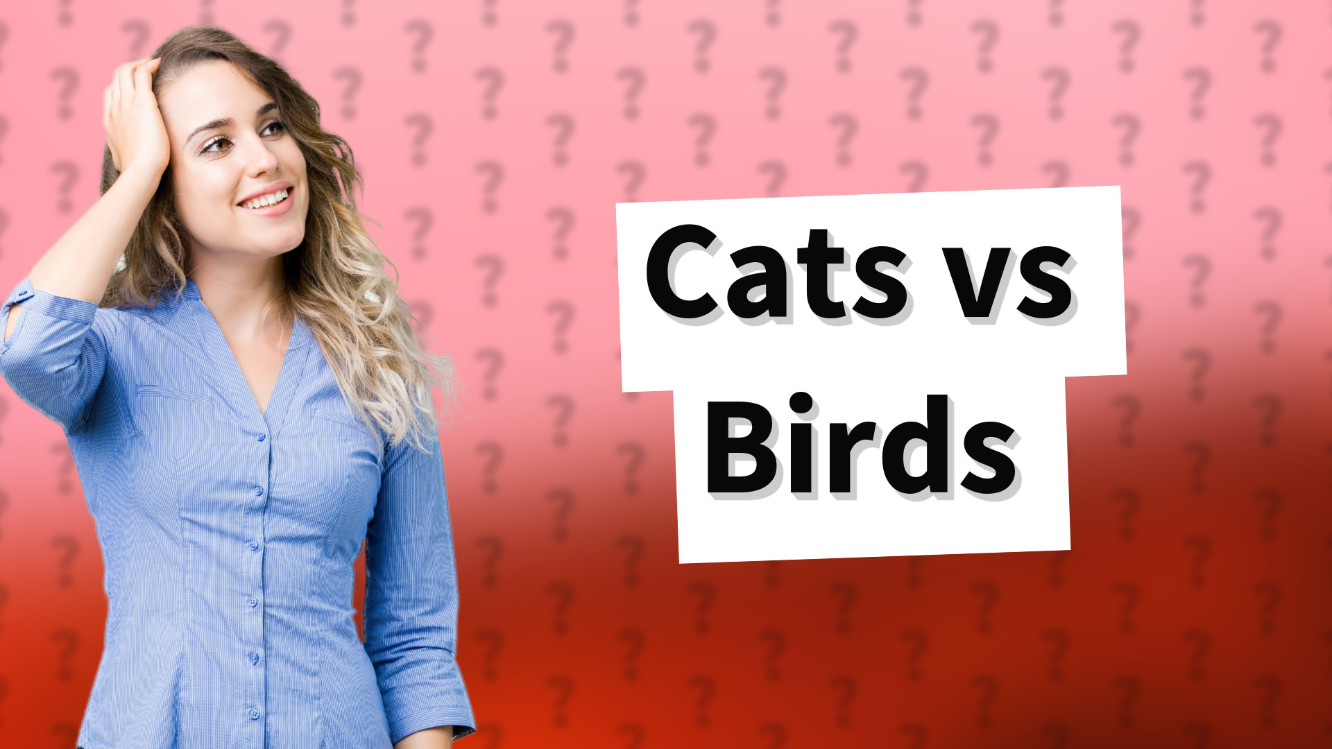 Cats vs Birds