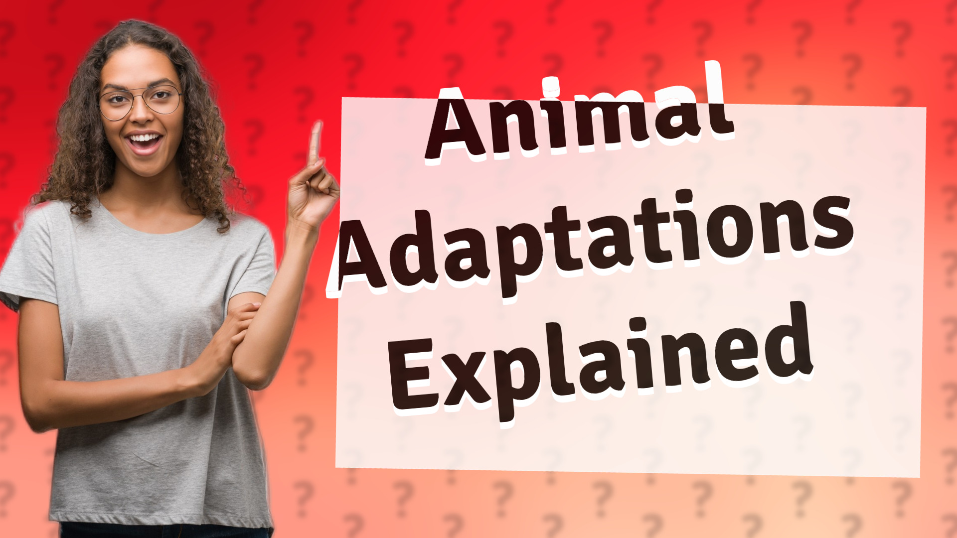 Animal Adaptations Explained