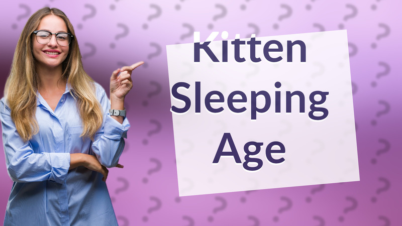 Kitten Sleeping Age