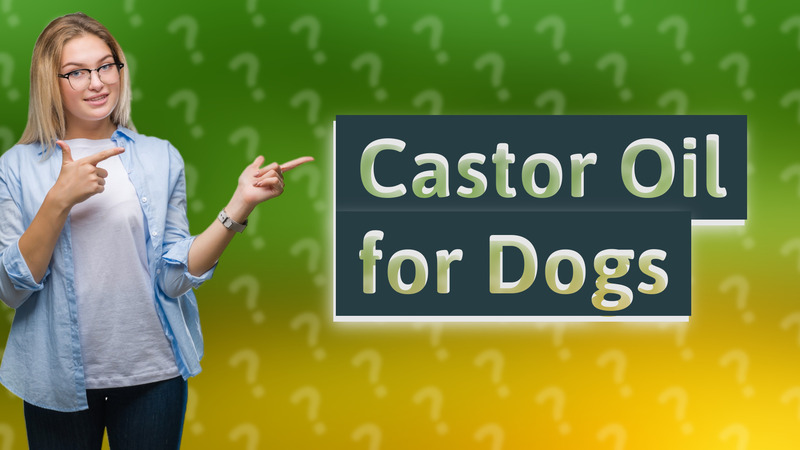 Castor Oil for Dogs