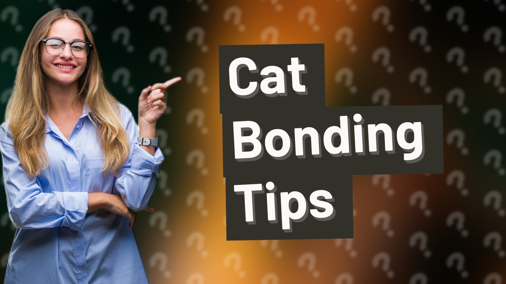 Cat Bonding Tips