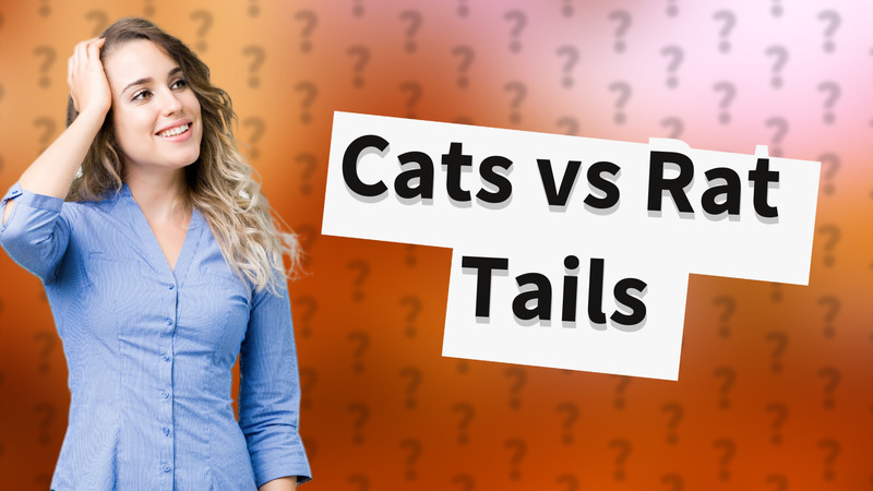 Cats vs Rat Tails