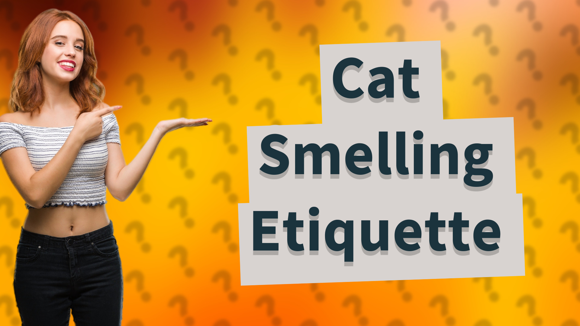 Cat Smelling Etiquette