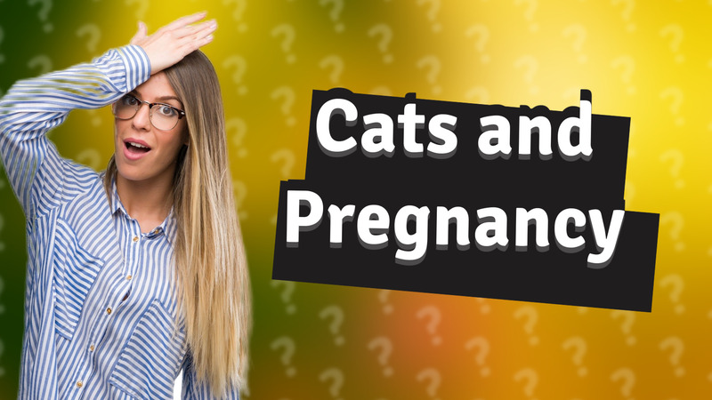Cats and Pregnancy