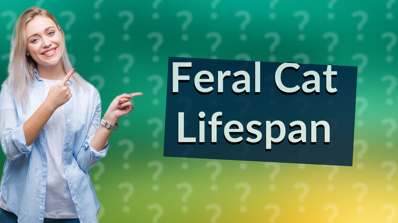 Feral Cat Lifespan