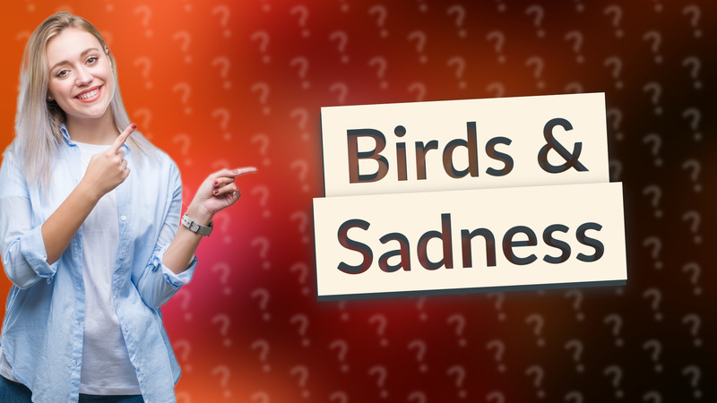 Birds & Sadness