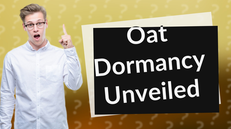 Oat Dormancy Unveiled