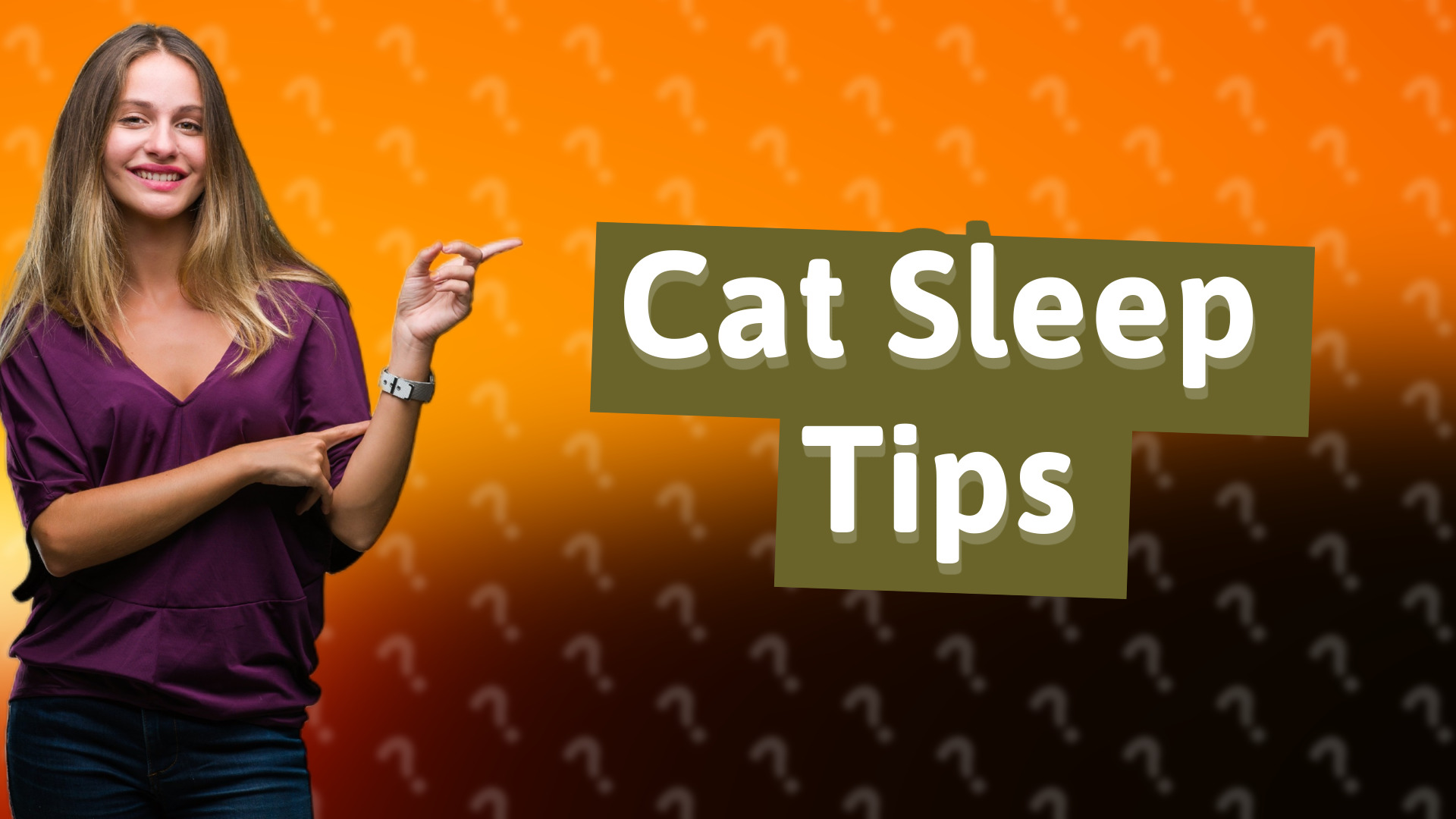 Cat Sleep Tips