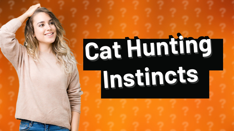 Cat Hunting Instincts