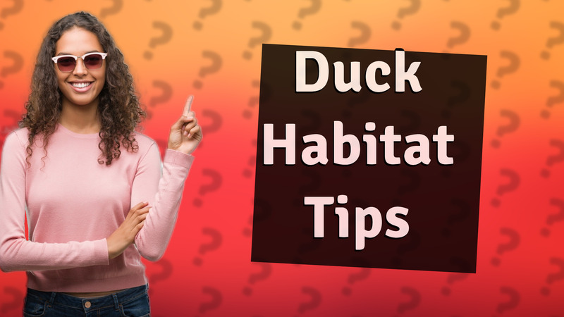 Duck Habitat Tips