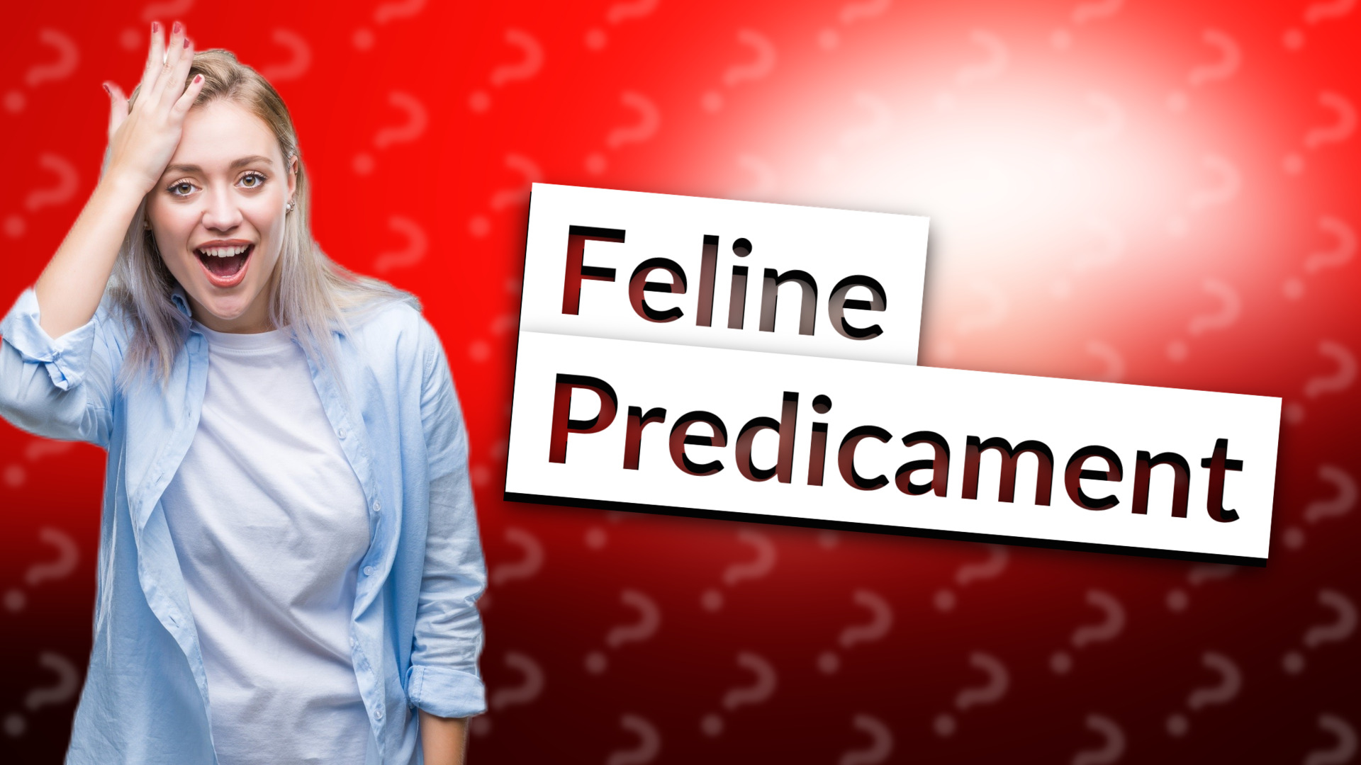 Feline Predicament